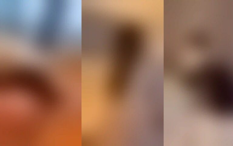 مشاهدة مقطع انطونيو سليمان مع الاسرائيلية